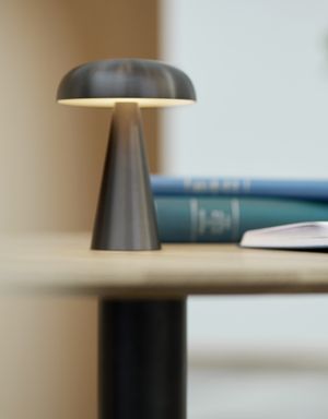 Lampe og bog